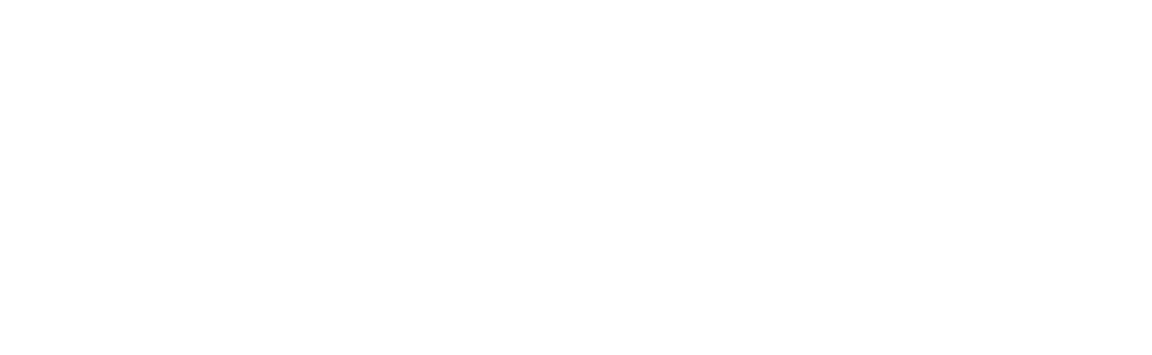 Oranet Infratel Pvt. Ltd. logo